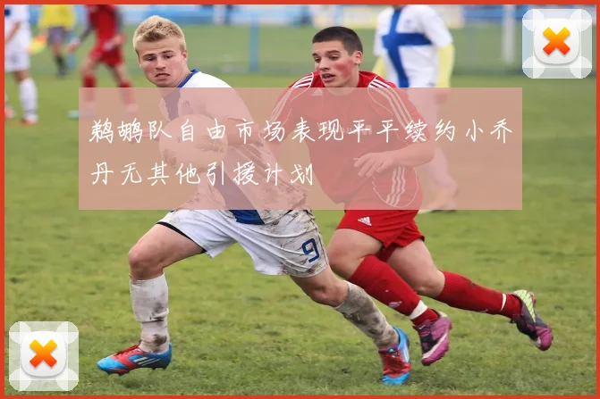 鹈鹕队自由市场表现平平续约小乔丹无其他引援计划